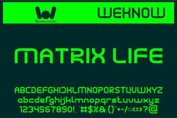 Matrix Life: Decoding the Future of Your Visual Identity